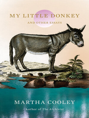cover image of My Little Donkey